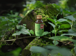 Forest Post Shikakai and Nelli Hair Oil