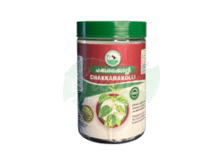 Gandhigramam Chakkarakolli