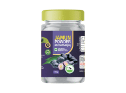 Gandhigramam Jamun Powder