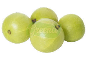 Nelli or Gooseberry