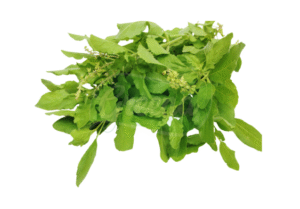 Tulsi