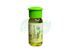 Gandhigramam Eucalyptus Oil