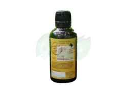 Forest Post Clove Essential Oil