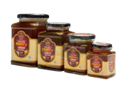Silent Valley Organics Wild Raw Honey Van Thaen Big Beez